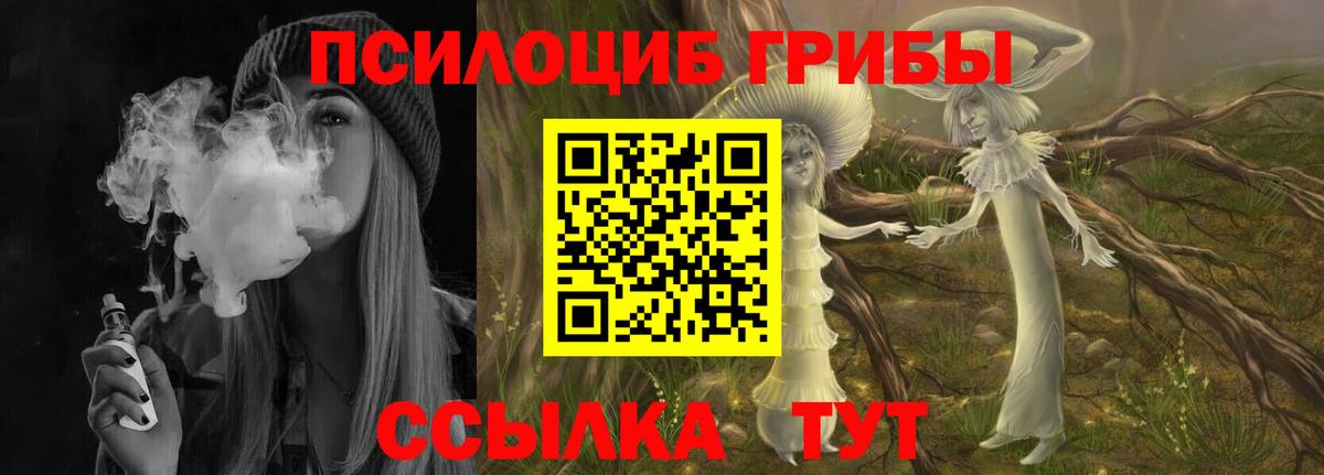 Галлюциногенные грибы Psilocybine cubensis  Галлюциногенные грибы Magic Shrooms  Всеволожск  Вход с VPN 